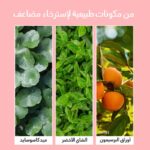 ⁦BODY PEELING PAD- وصفة استحمام الأم - وسادة تقشير للعناية بالجسم⁩ - الصورة ⁦5⁩