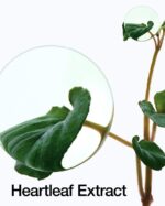 ⁦ANUA - كريم هارت ليف المهدئ المكثف 70%⁩ - الصورة ⁦4⁩