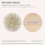 ⁦ECOTOOLS- فرشاة الجسم الجافة⁩ - الصورة ⁦5⁩