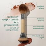 ⁦ECOTOOLS- فرشاة إي أو إس سكالب + برونزية ثنائية الأطراف⁩ - الصورة ⁦2⁩