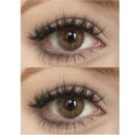 ⁦FRESHLADY-HONEY عدسة⁩ - الصورة ⁦2⁩