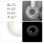 ⁦FRESHLADY - DNA GREEN GREY عدسة⁩ - الصورة ⁦3⁩