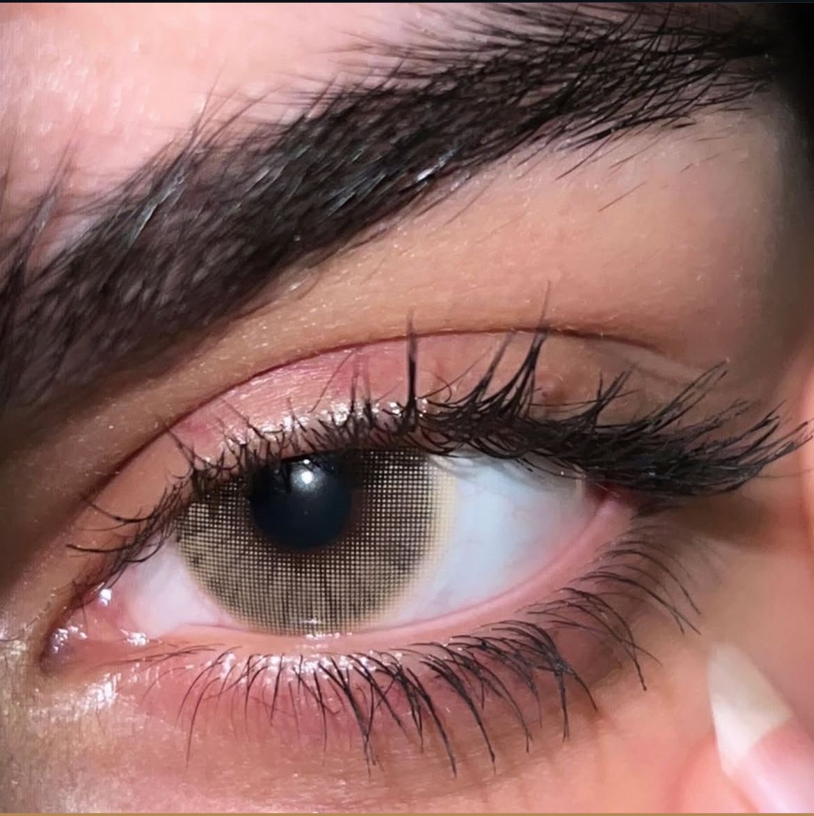 9def1301-4eb7-48f1-8586-28ac0155f7e4 FRESHLADY- OCRE عدسة - الصورة 1