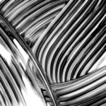 ⁦SEPHORA- BROWN 12.5mL ماسكارا سيفورا، حجم أكبر، لون بني⁩ - الصورة ⁦4⁩